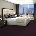 ELEMENTS-Q0421-PLUM-NELLY-21950-room-image