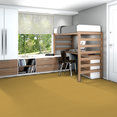COLOR-ACCENTS-54462-OCHRE-62210-room-image
