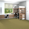 COLOR-ACCENTS-BL-54584-HERBAL-62302-room-image