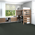 OGEE-54777-WILD-WILLOW-00550-room-image