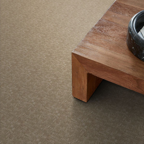 Paw-Tay (ZZ221-00274) Carpet Flooring | Anderson Tuftex