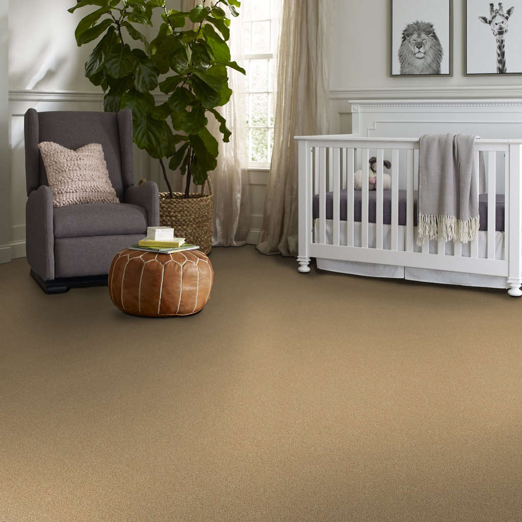 Serenity Cove Carpet - Tawny Bisque Gallery Image 2
