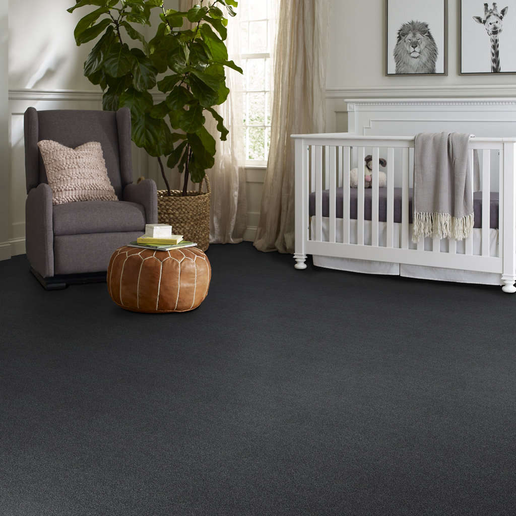 Serenity Cove Carpet - Chic Gray Gallery Image 2