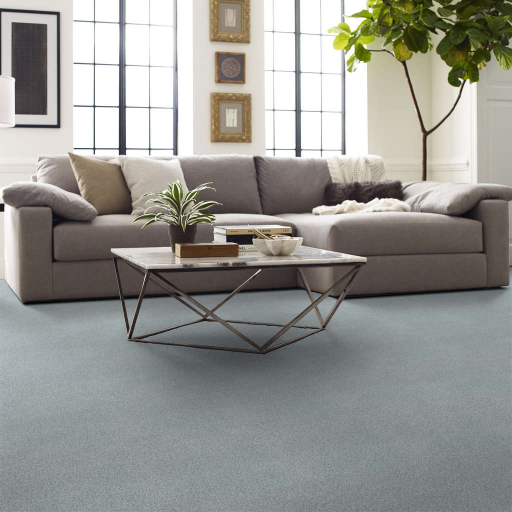 Distinguished Variety Carpet - Steel(T) Gallery Image 5