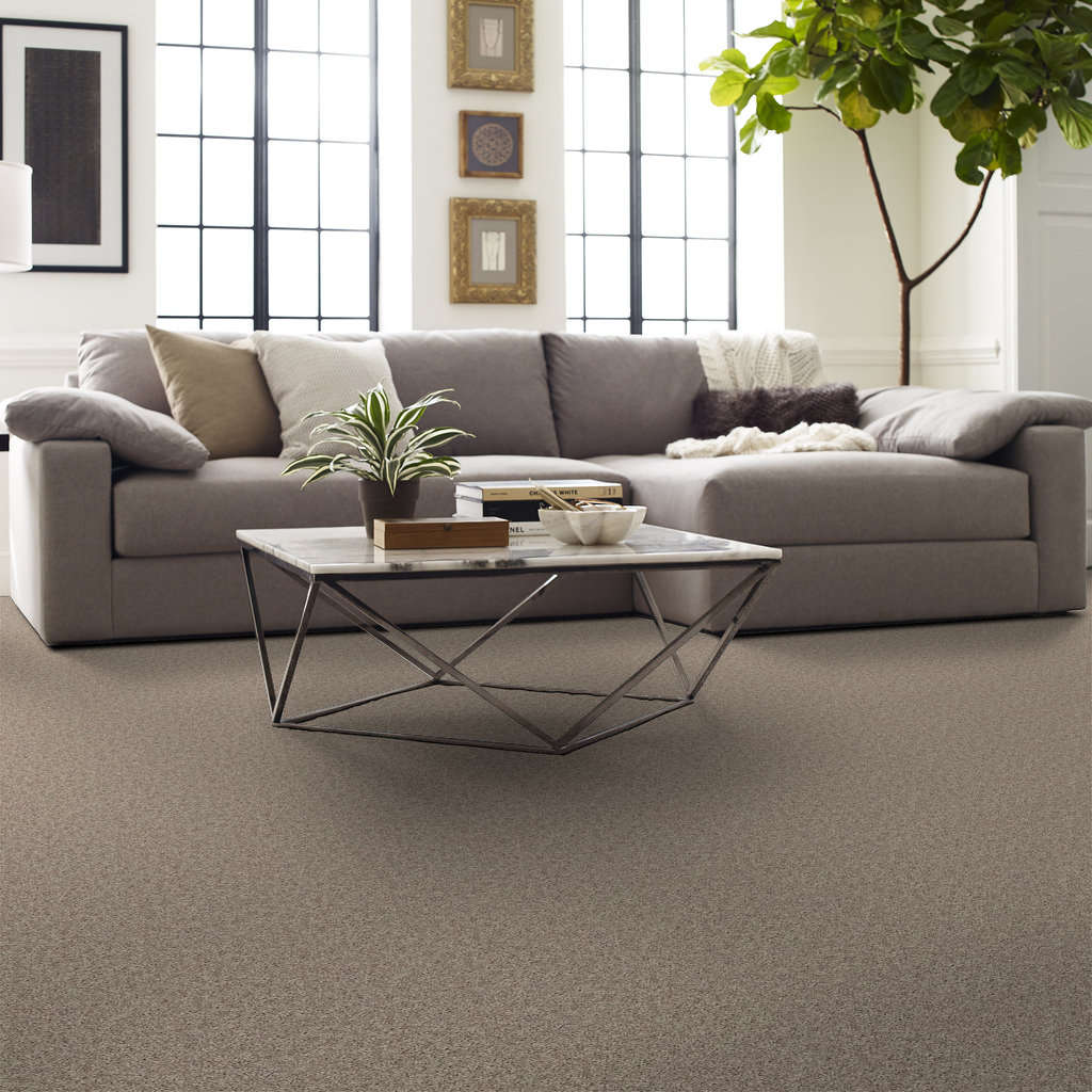 Venture Solid Carpet - Soft Taupe Room Scene Image