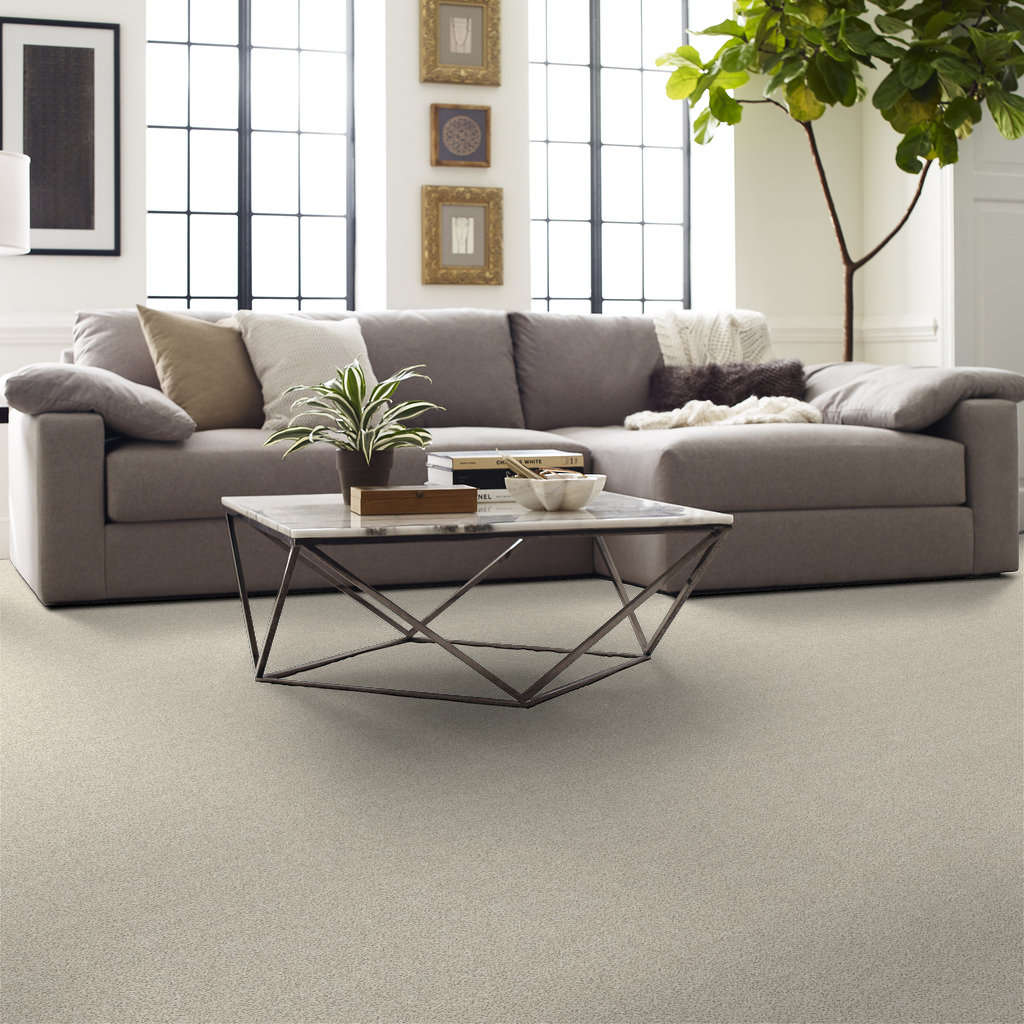 Serenity Cove Carpet - Misty Dawn Gallery Image 6