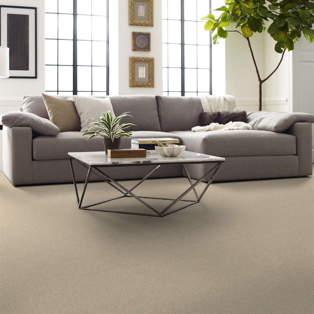 Serenity Cove Carpet - Windswept Gallery Image 6