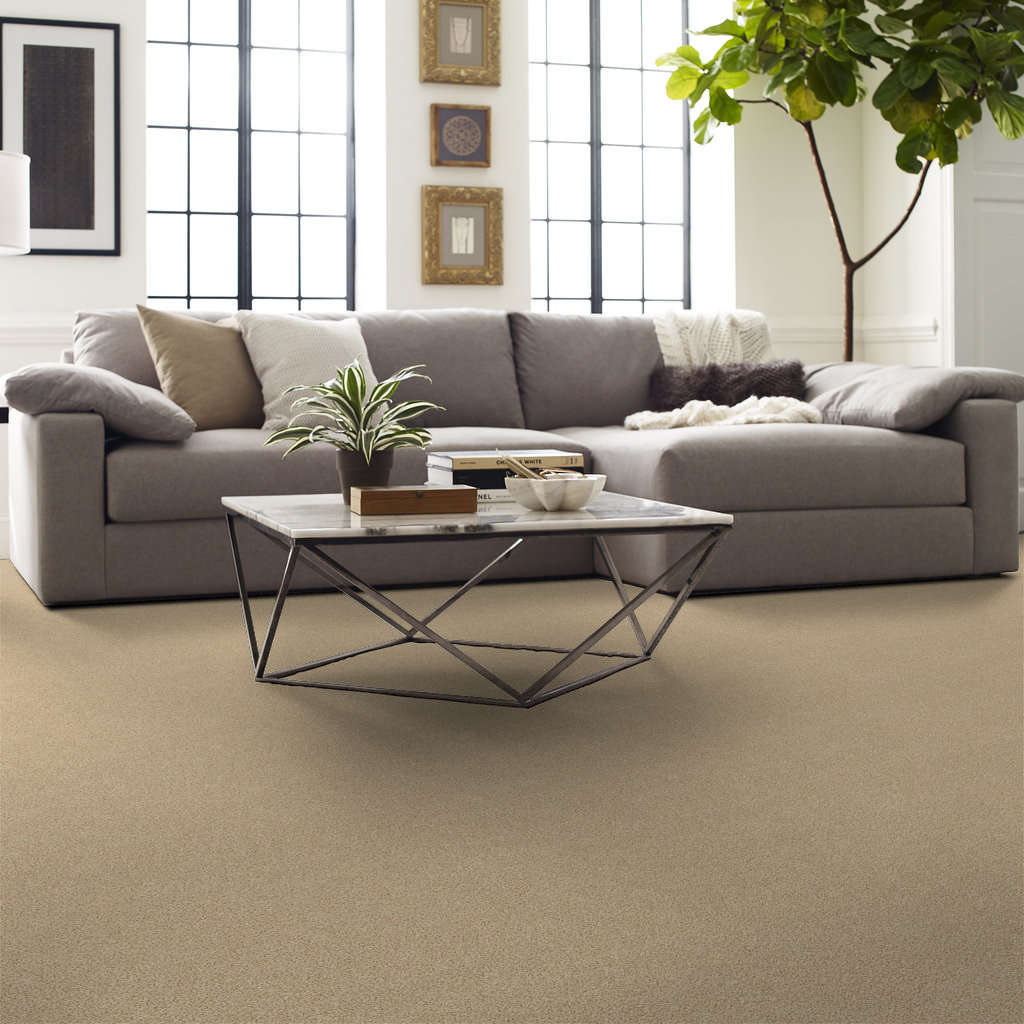 Serenity Cove Carpet - Golden Gallery Image 6