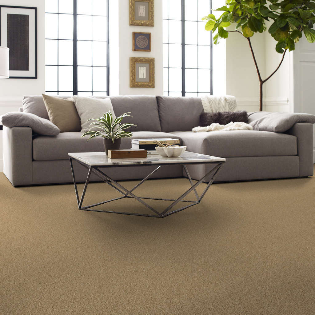 Serenity Cove Carpet - Tawny Bisque Gallery Image 6