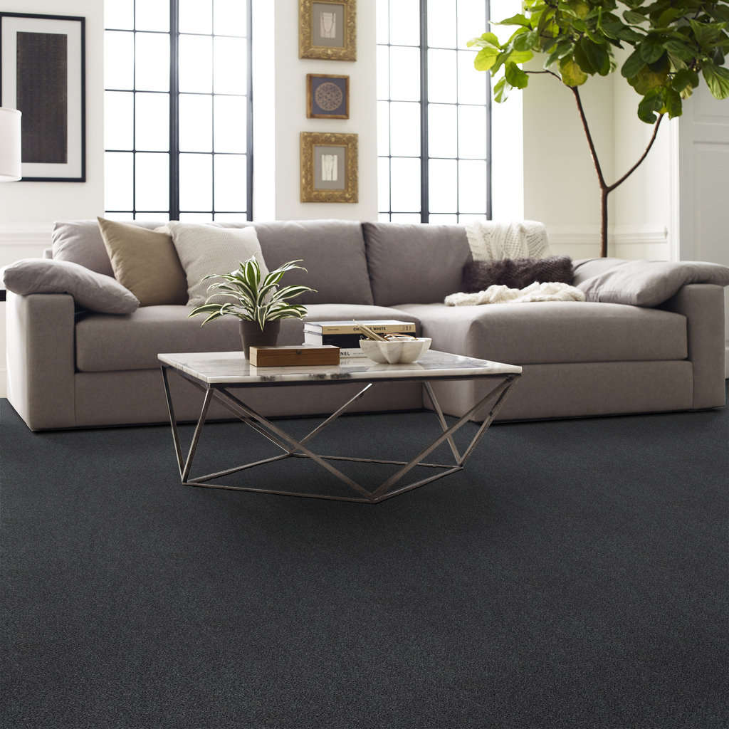 Serenity Cove Carpet - Chic Gray Gallery Image 6