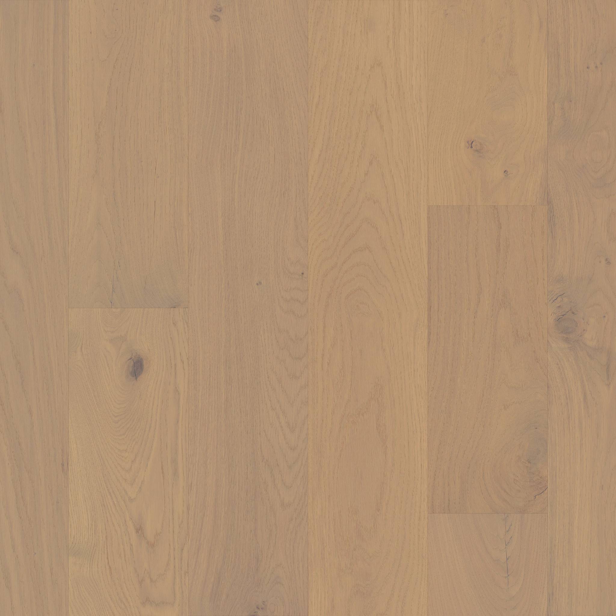 Style Noble Hall Engineered Hardwood - Duchess Swatch