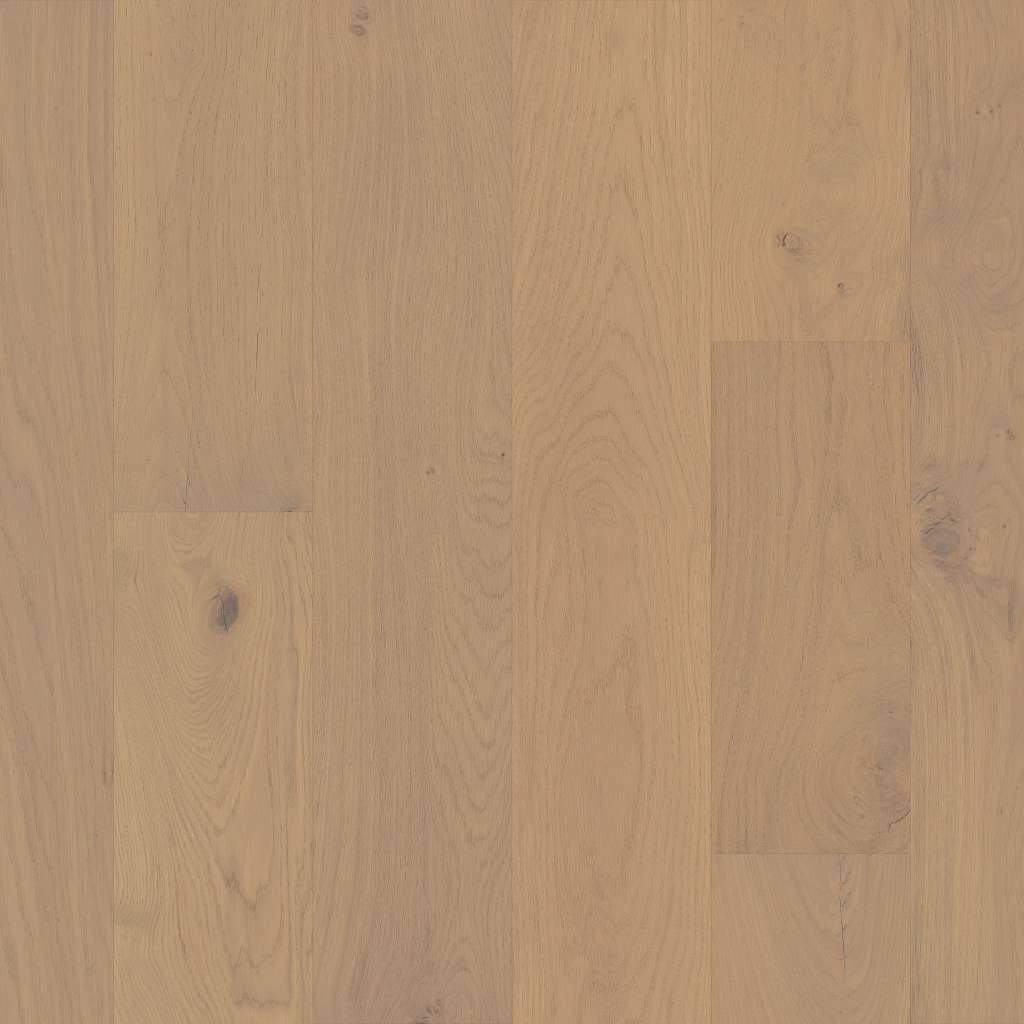 Noble Hall Engineered Hardwood - Duchess  Swatch Image 