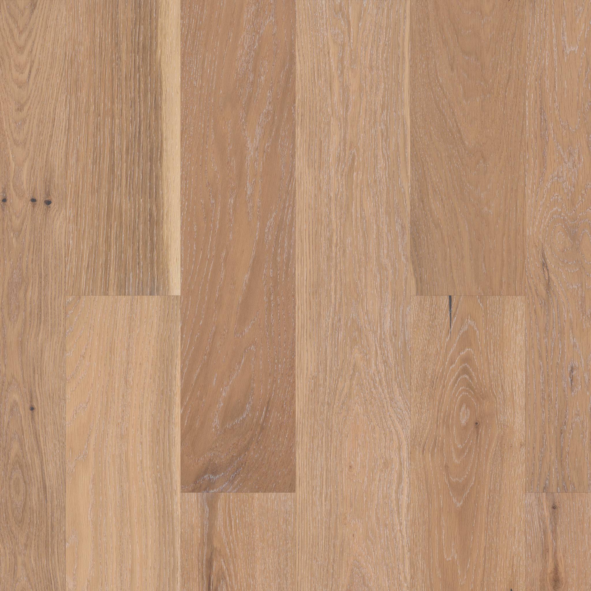 Style Noble Hall Engineered Hardwood - Sovereign Swatch