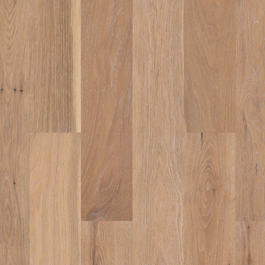 Noble Hall Engineered Hardwood - Sovereign  Swatch Image 