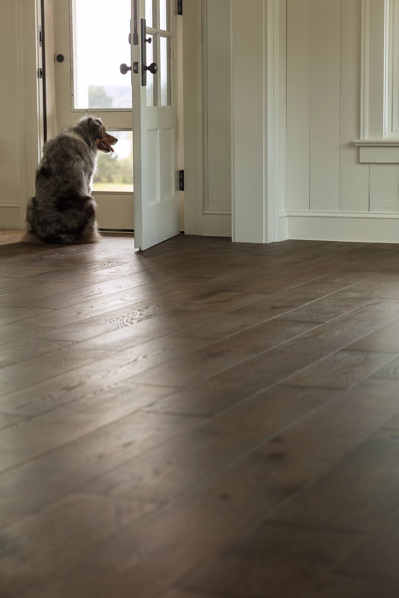 Style - Buckingham,  Color - WALES - Room Scene