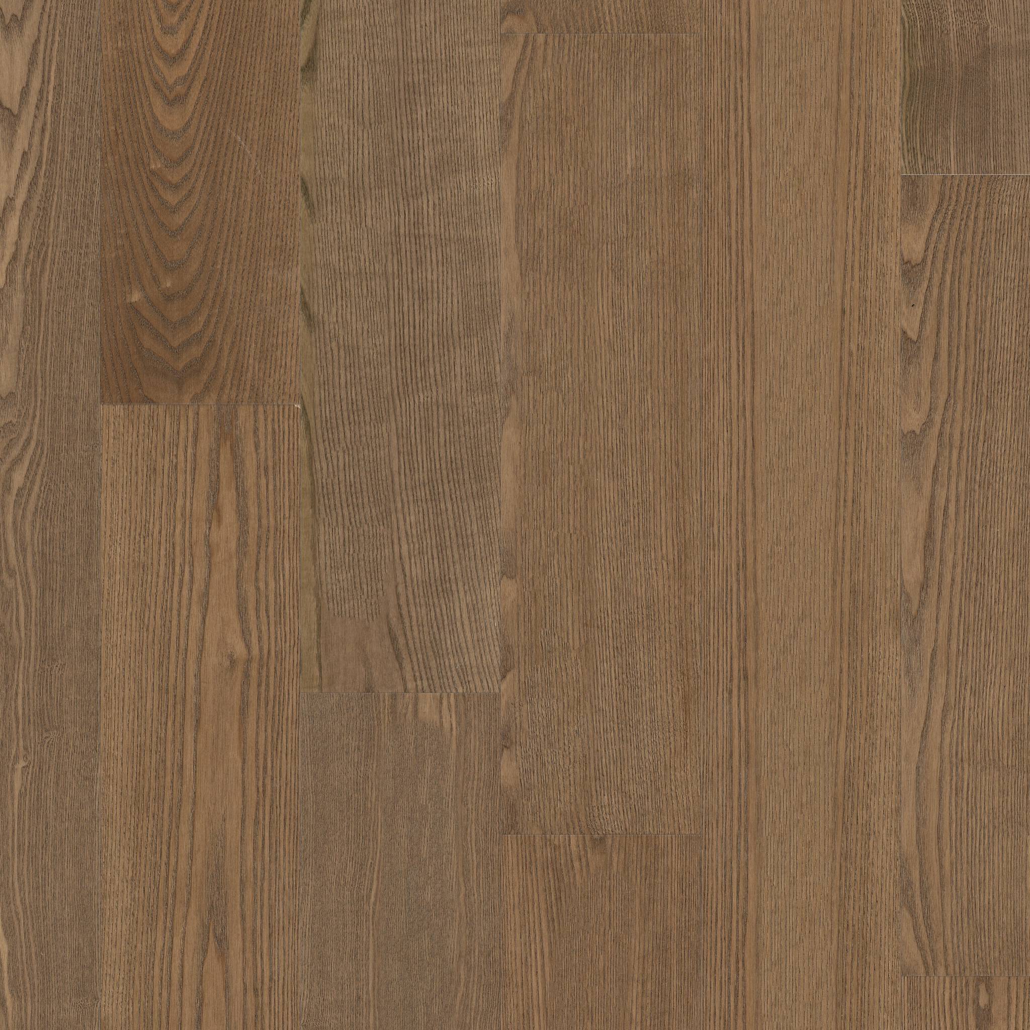Style European Ash Engineered Hardwood - Biscotti Swatch