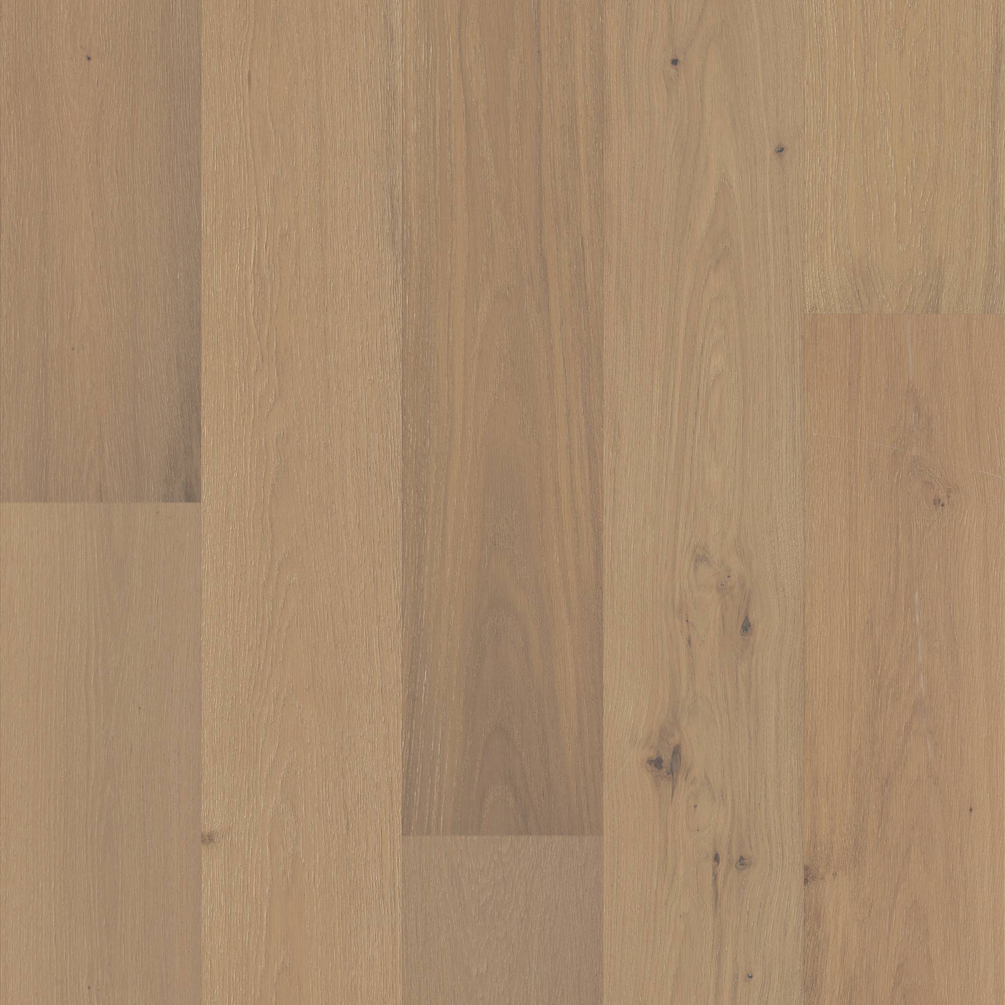 Style Chateau Oak Engineered Hardwood - Courtyard Swatch