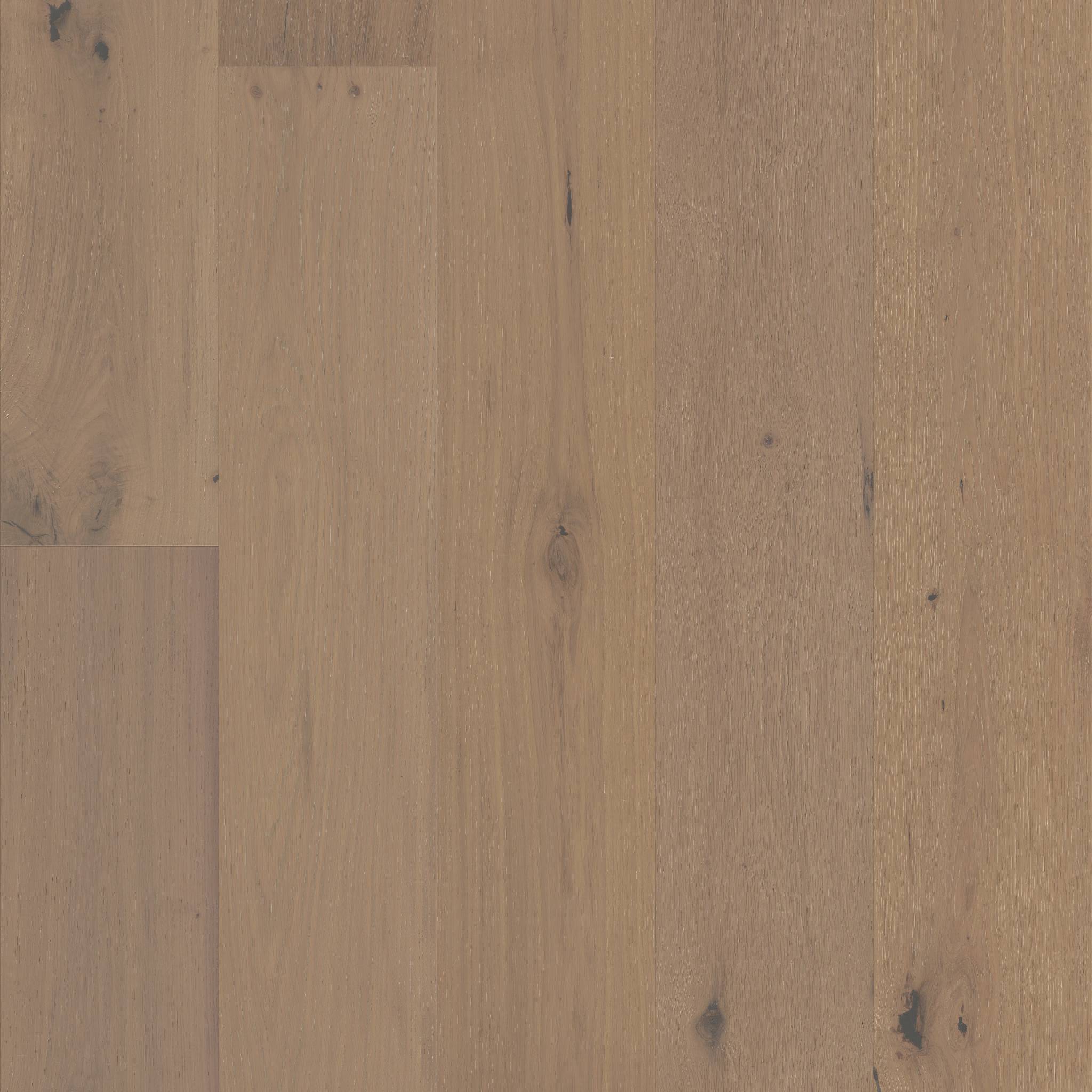 Style Chateau Oak Engineered Hardwood - Parlor Swatch