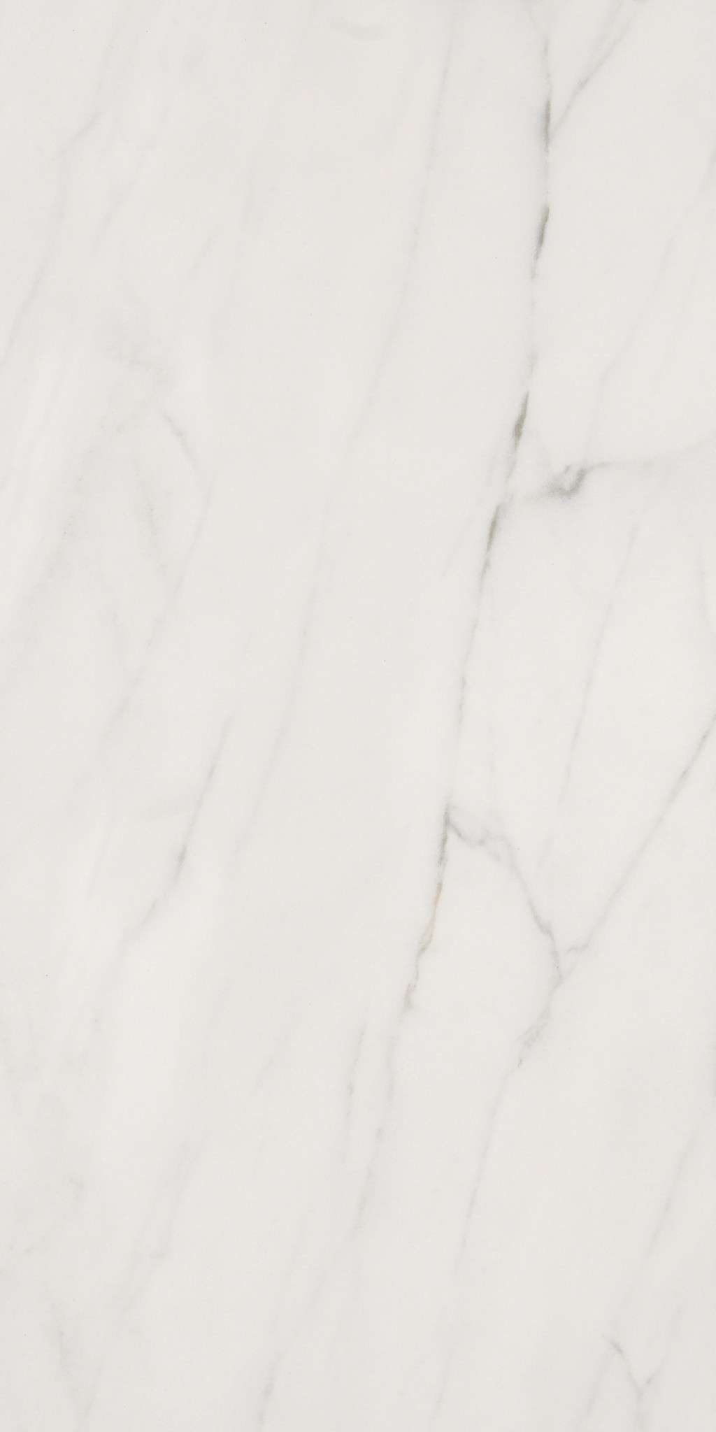 Maximus 12x24 Tile & Stone - Carrara  Swatch Image 