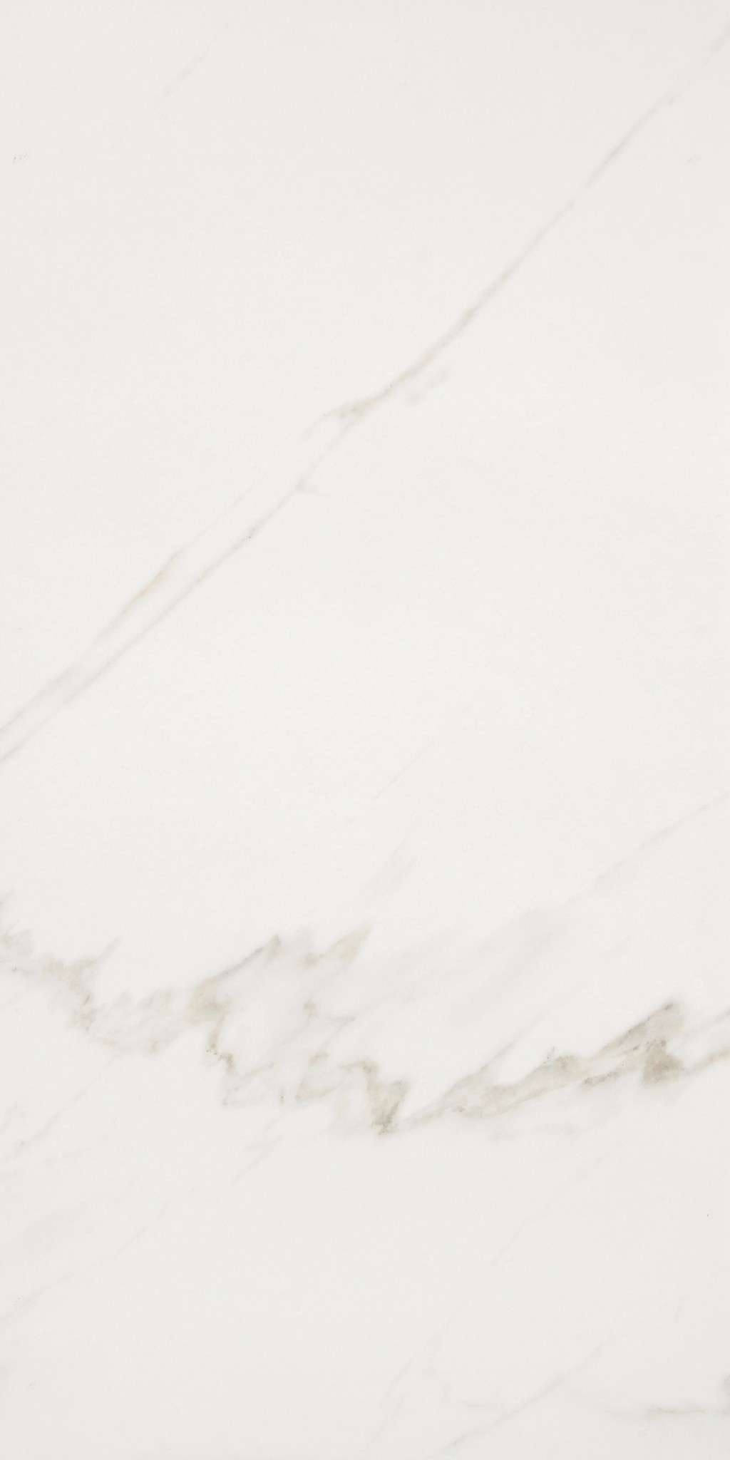 Maximus 12x24 Tile & Stone - Calacatta  Swatch Image 