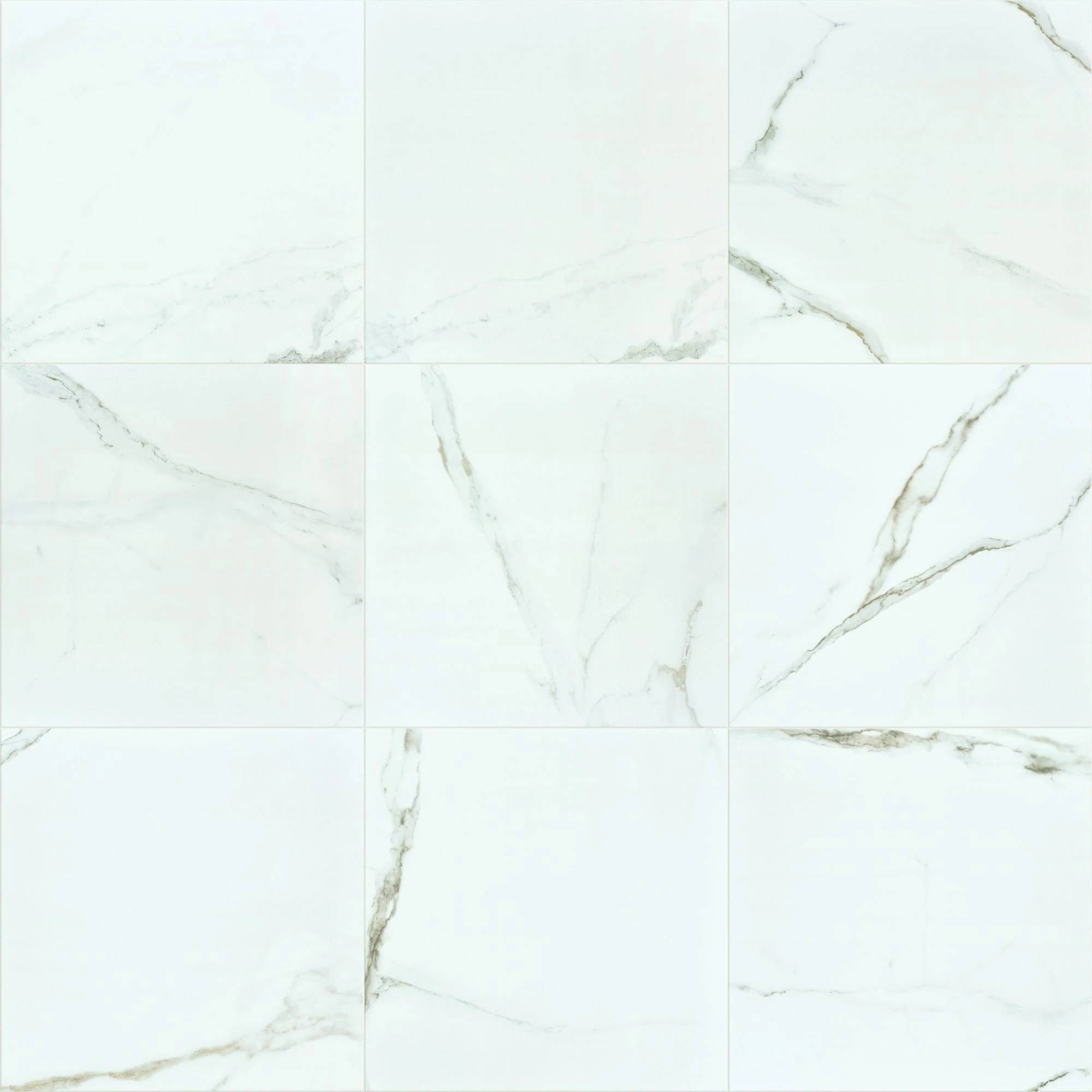 Style Casino 24x24 Polished Tile & Stone - Calacatta Swatch