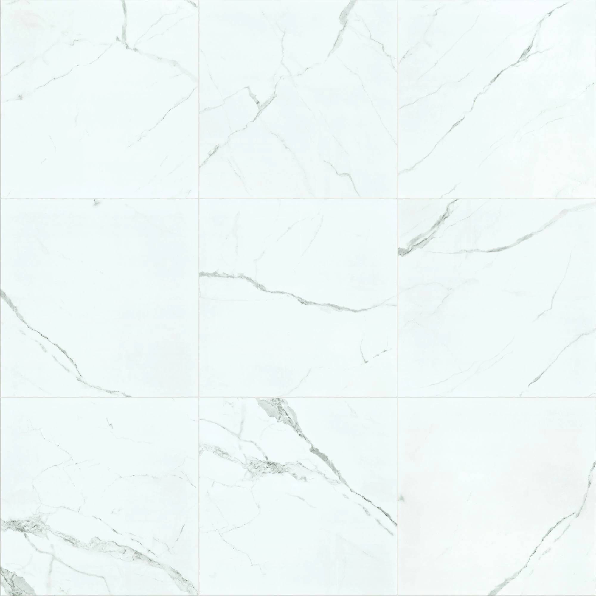 Style Casino 24x24 Polished Tile & Stone - Statuario Swatch