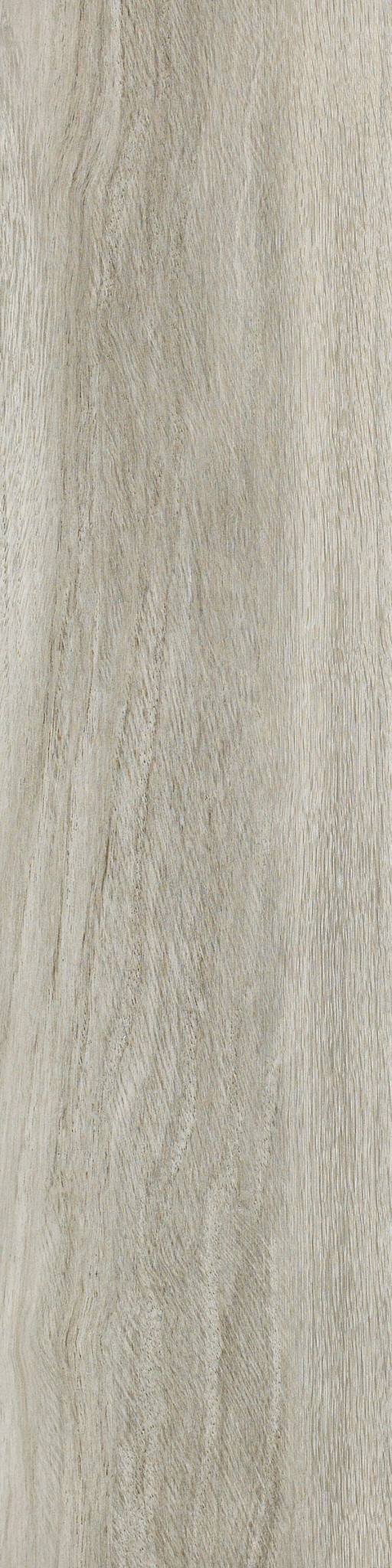 valentino 8x32 cs48p - camera Tile and Stone: Wall and Flooring