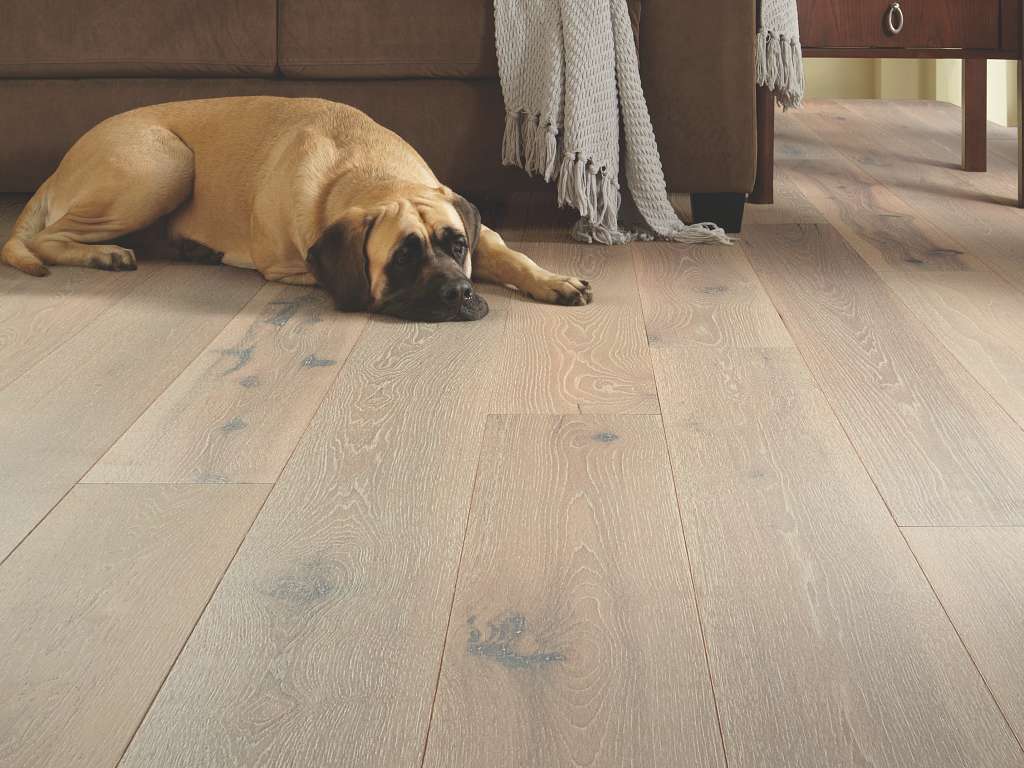 Impeccable Engineered Hardwood - Warm Hickory Room Scene Image