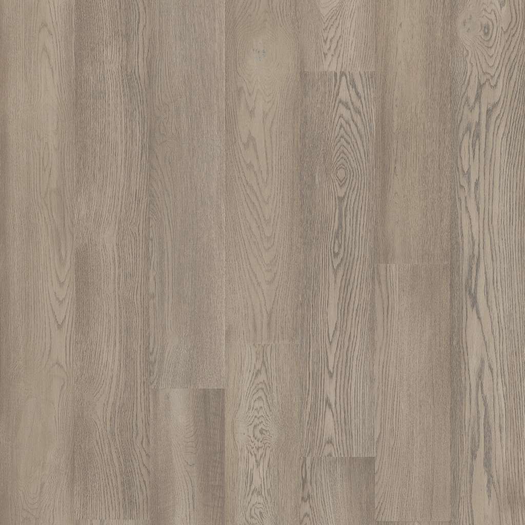 Impeccable Engineered Hardwood - Silver Oak  Swatch Image 