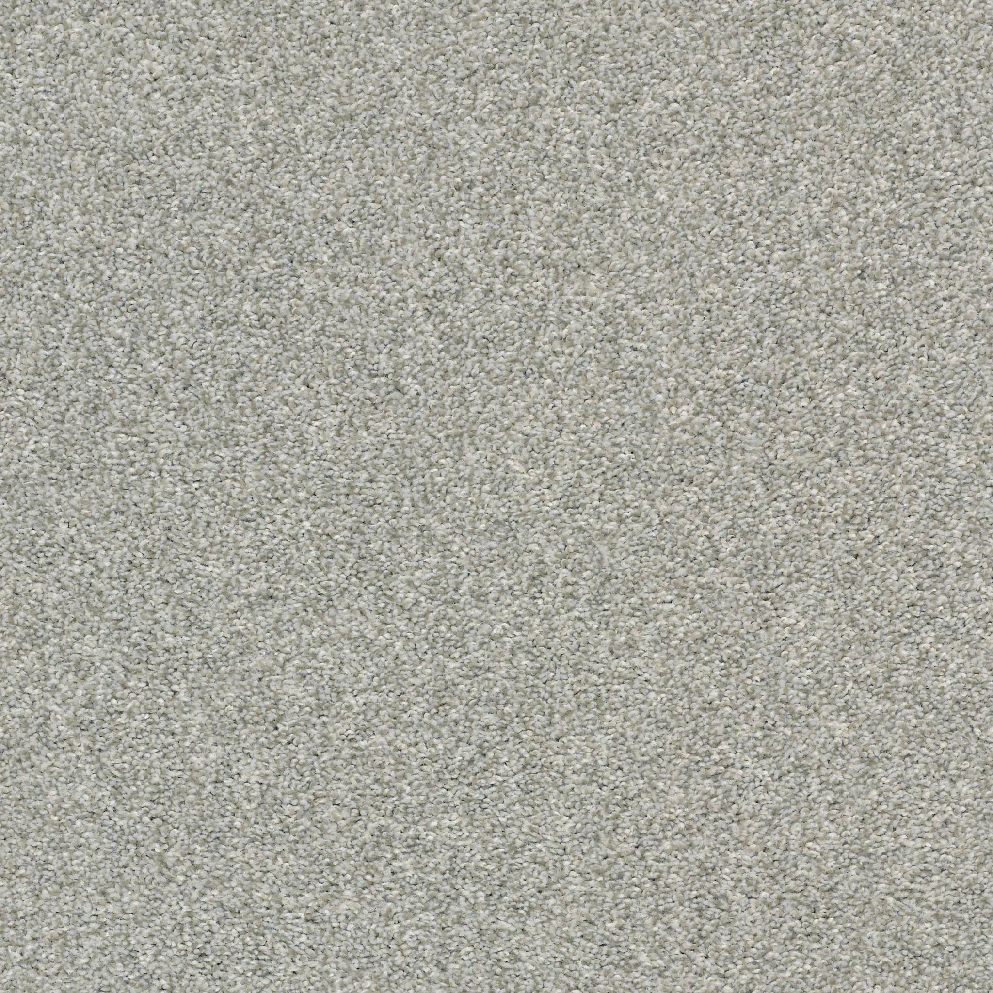 Shaw Floors Midway Plaza Fog