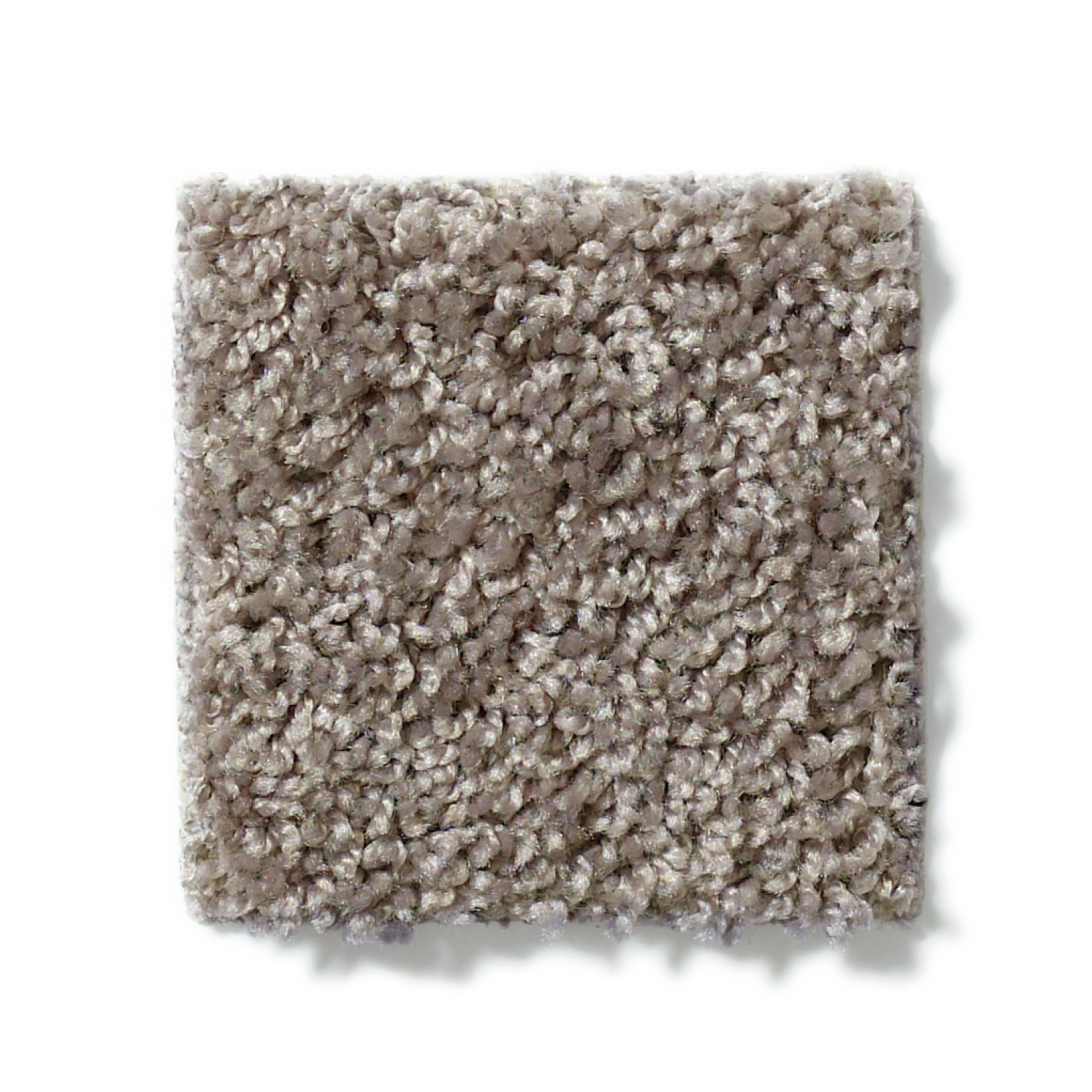 Shaw Floors Graceful Finesse Charcoal