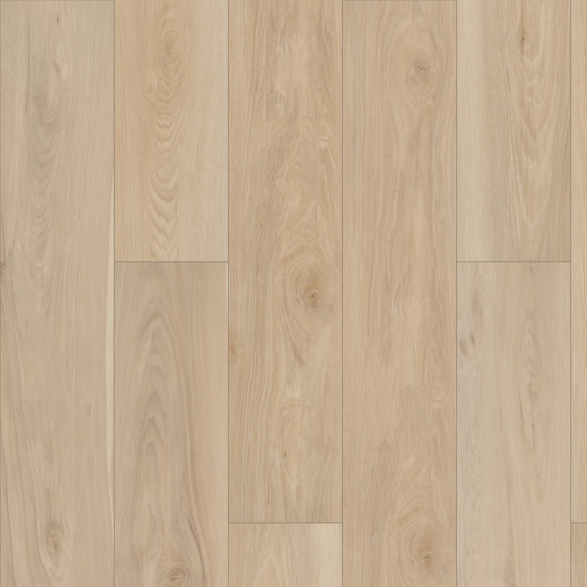 Shaw Floors Coyote Ridge HD + NB Alabaster