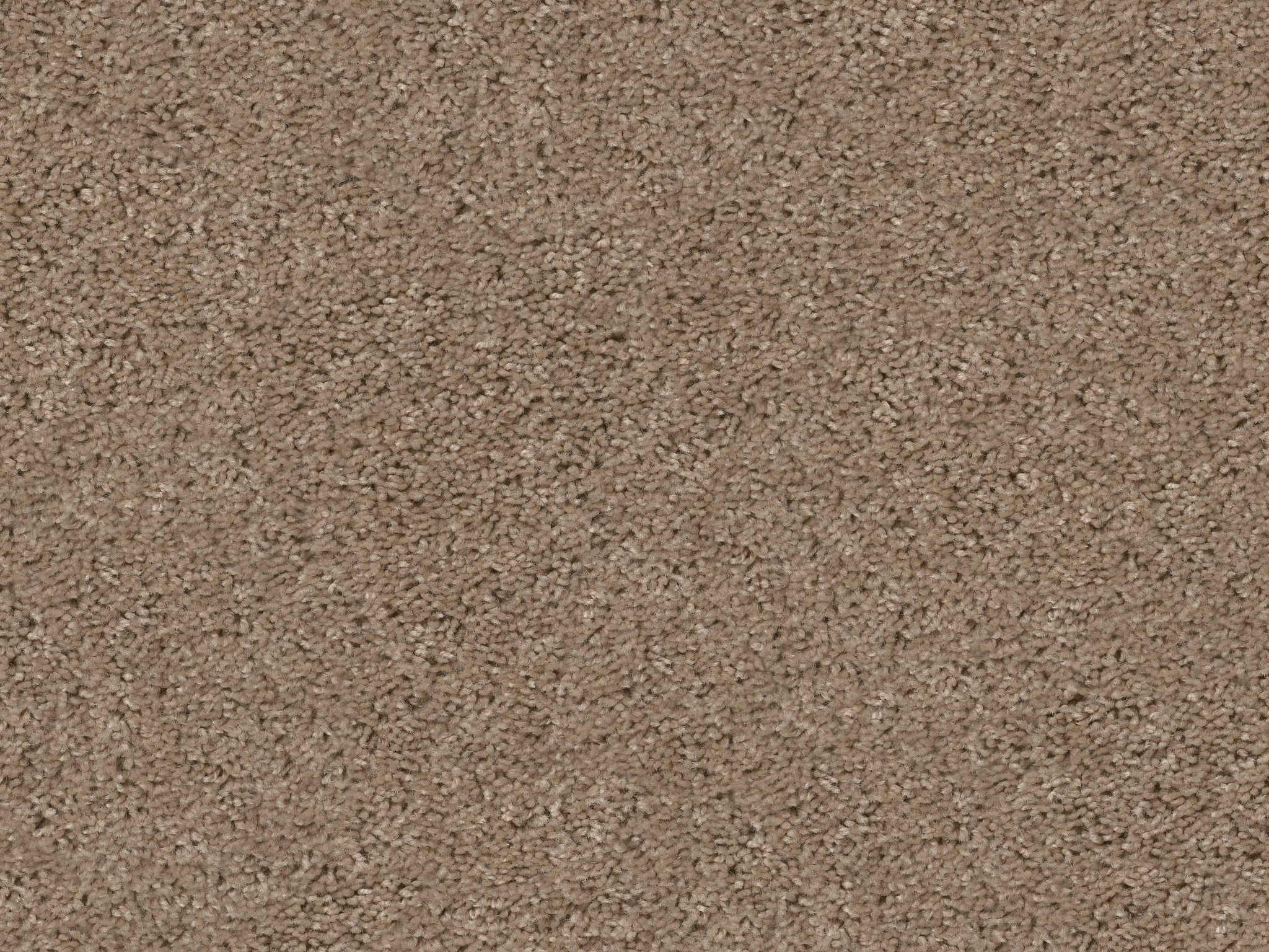 Style 50 Plus (S) Carpet - Latte Zoomed Swatch Thumbnail