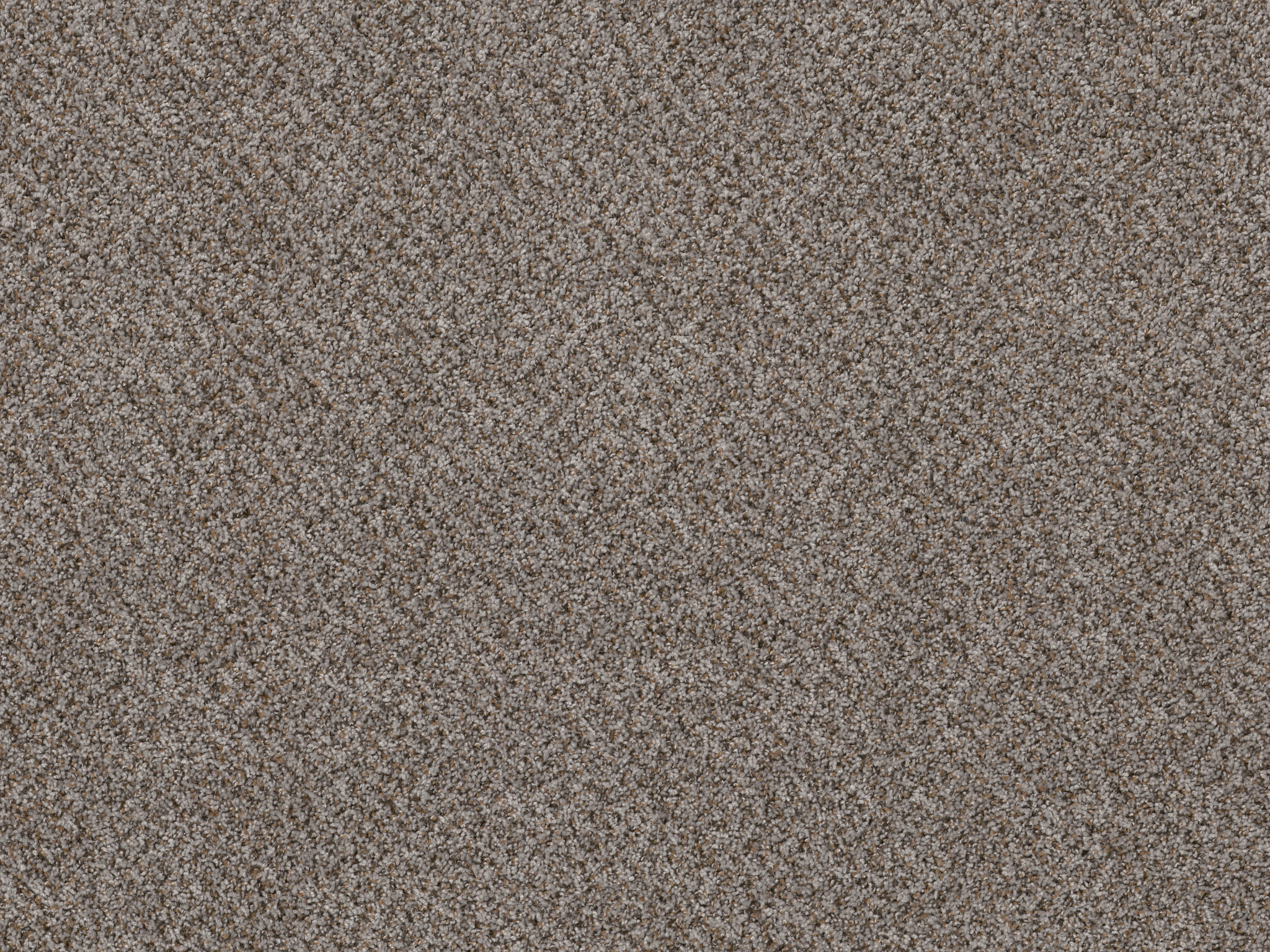 Style 50 Plus (B) Carpet - Caldera(B) Zoomed Swatch Thumbnail