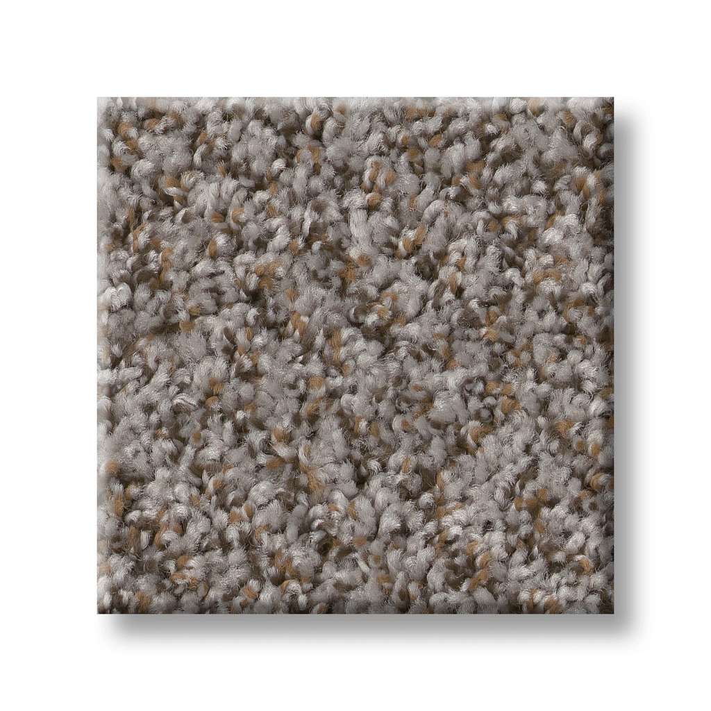 Style 50 Plus (B) Carpet - Caldera(B) Swatch Image