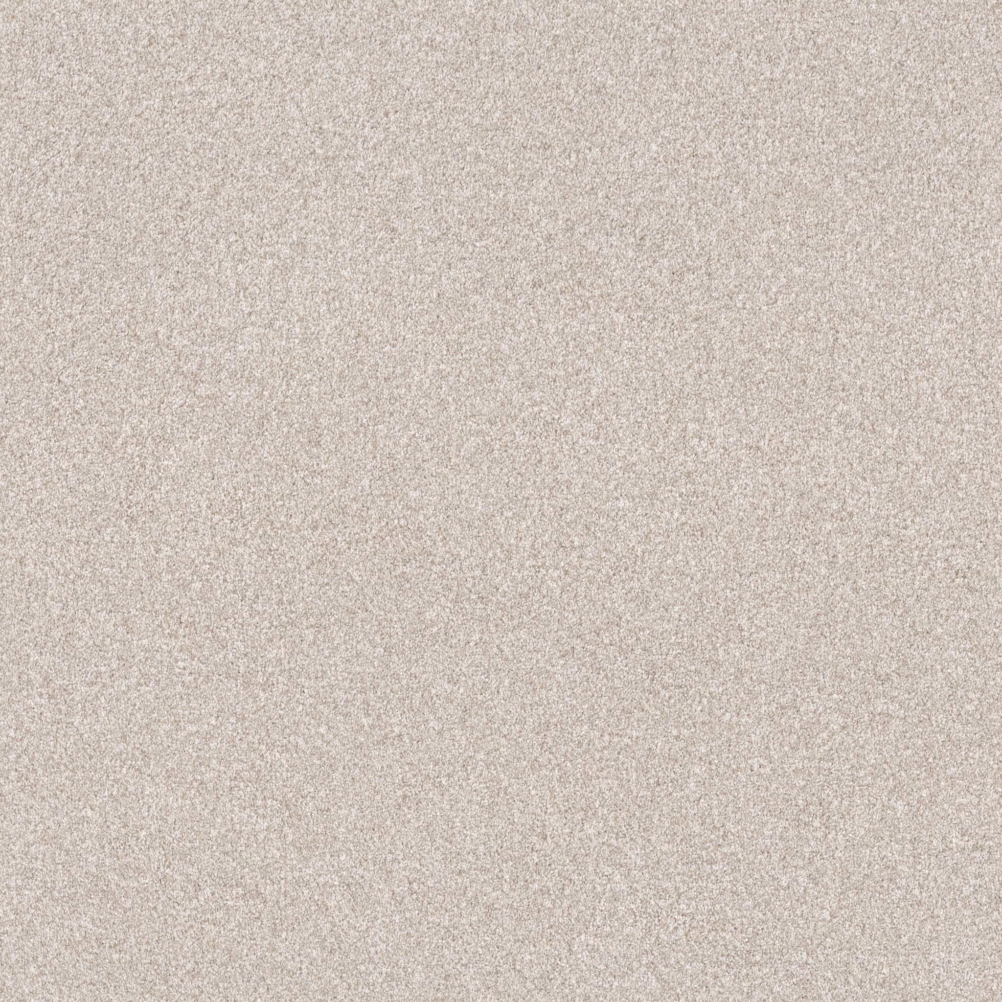 Coached Up Carpet - Delicate White Zoomed Swatch Image