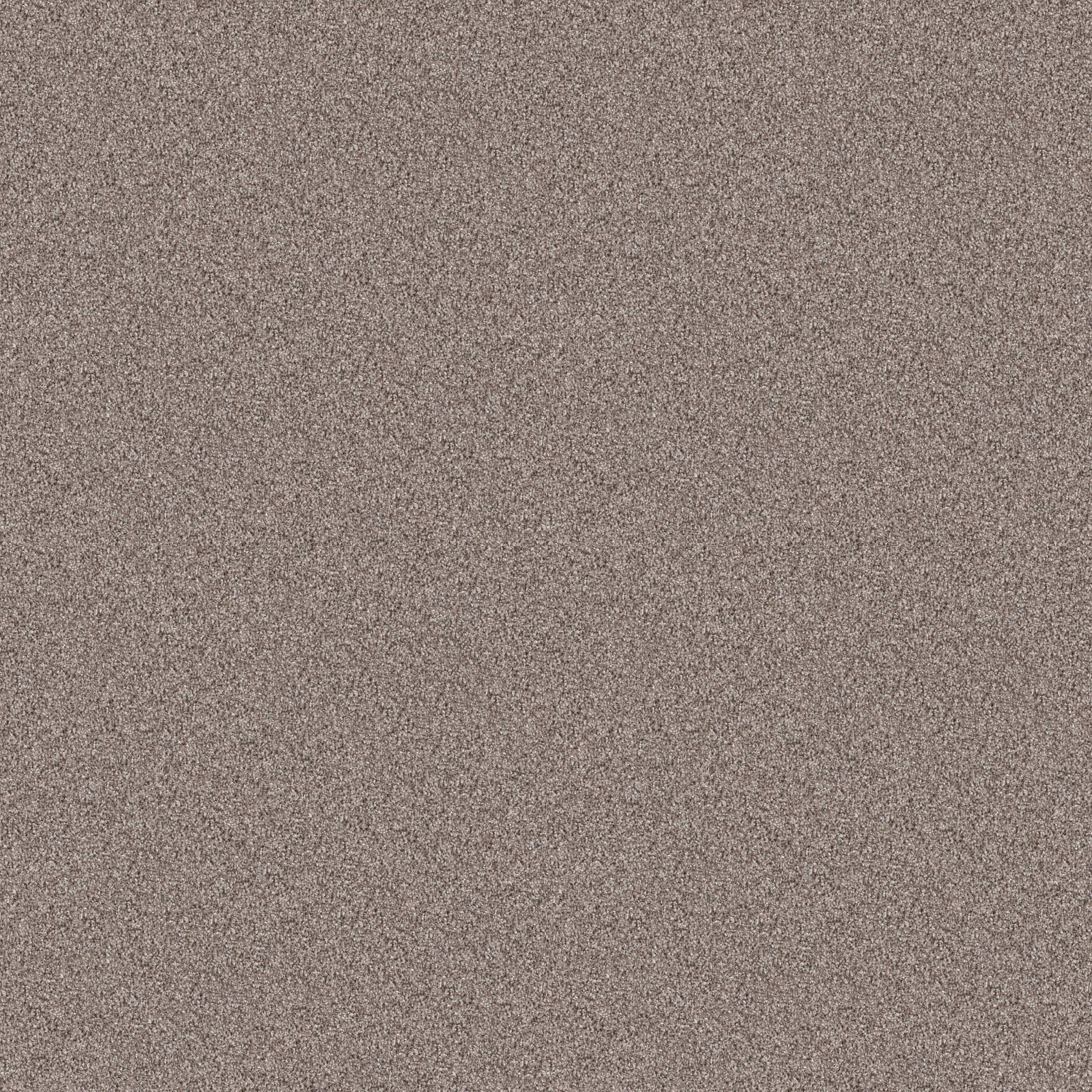Coached Up Carpet - Woodscape Zoomed Swatch Image