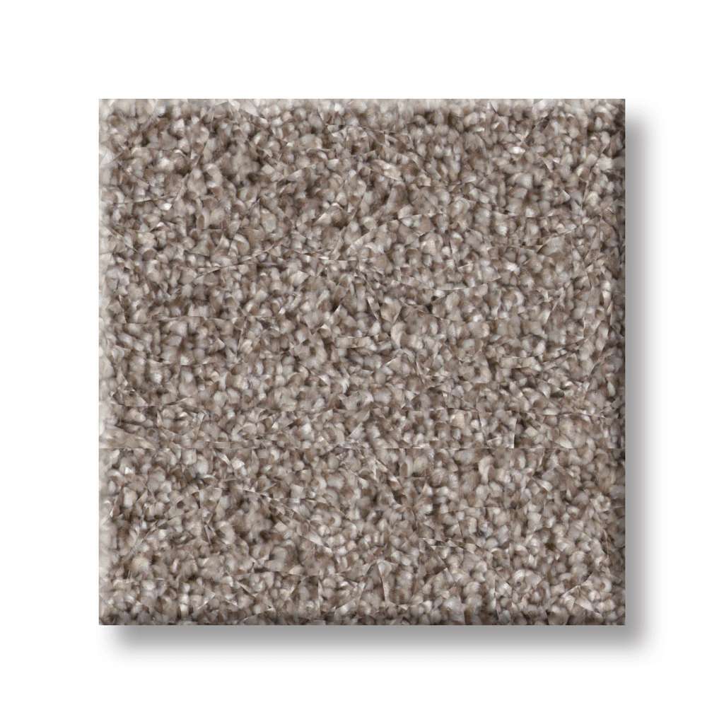 Coached Up Carpet - Woodscape  Swatch Image 