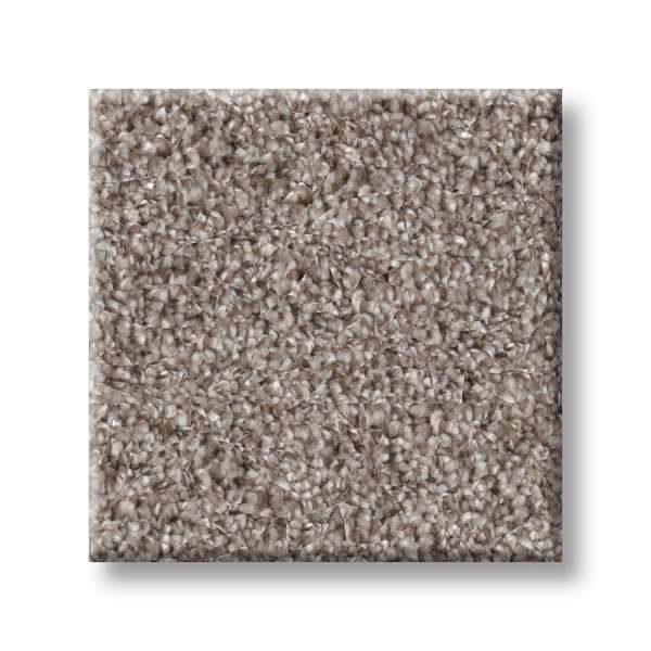 Style Coached Up Carpet - Woodscape Swatch