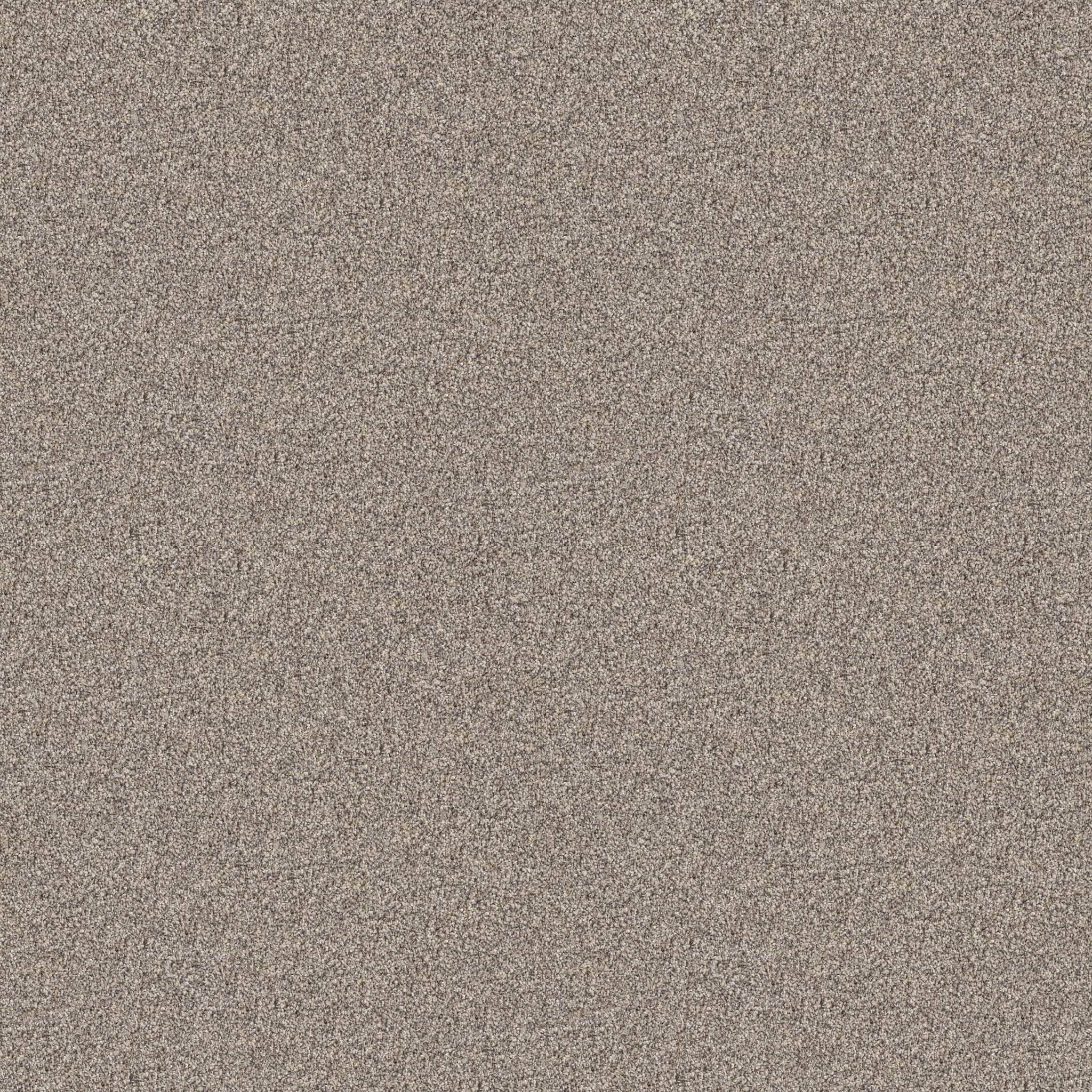 Coached Up Carpet - Flax Zoomed Swatch Image