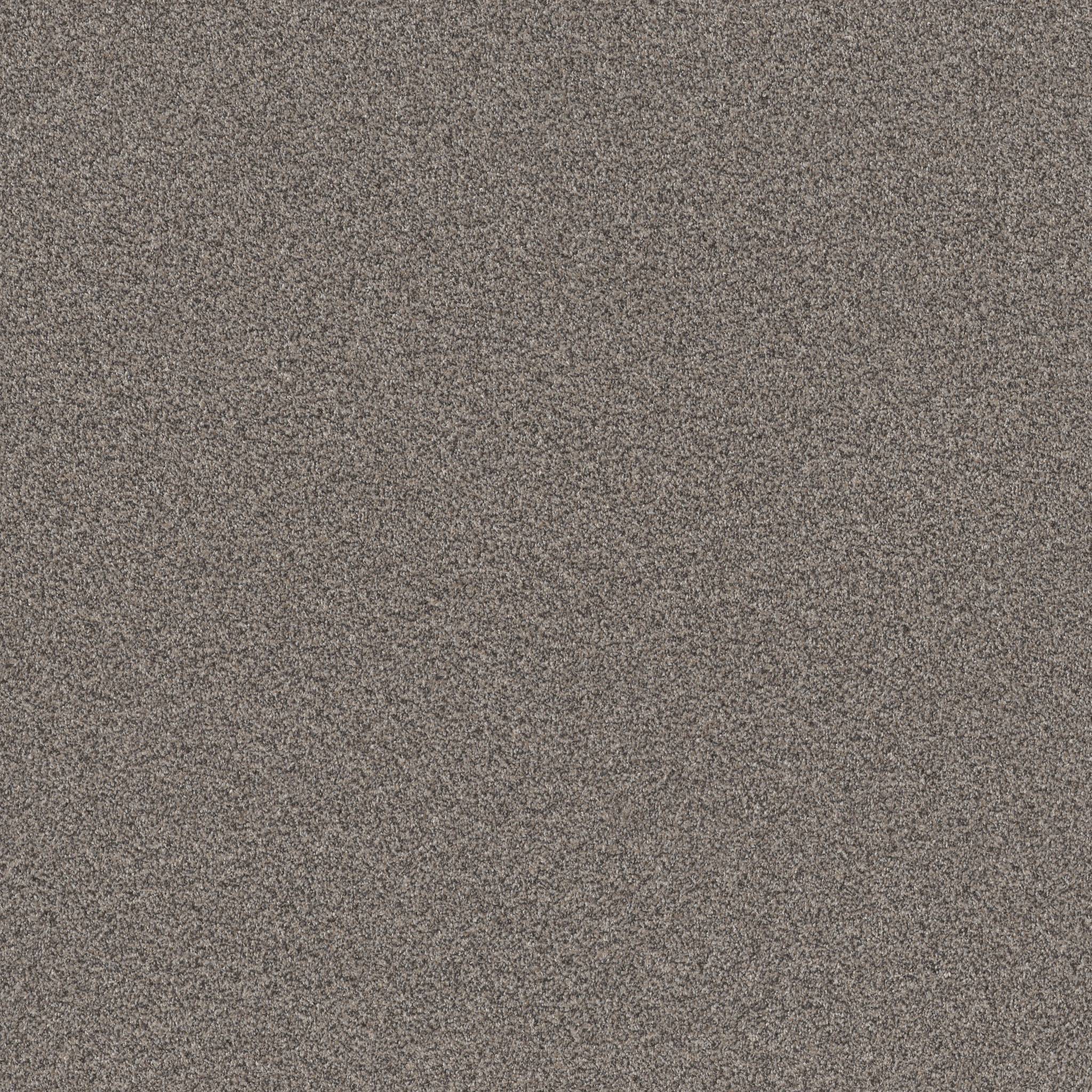 Coached Up Carpet - Barn Owl Zoomed Swatch Image