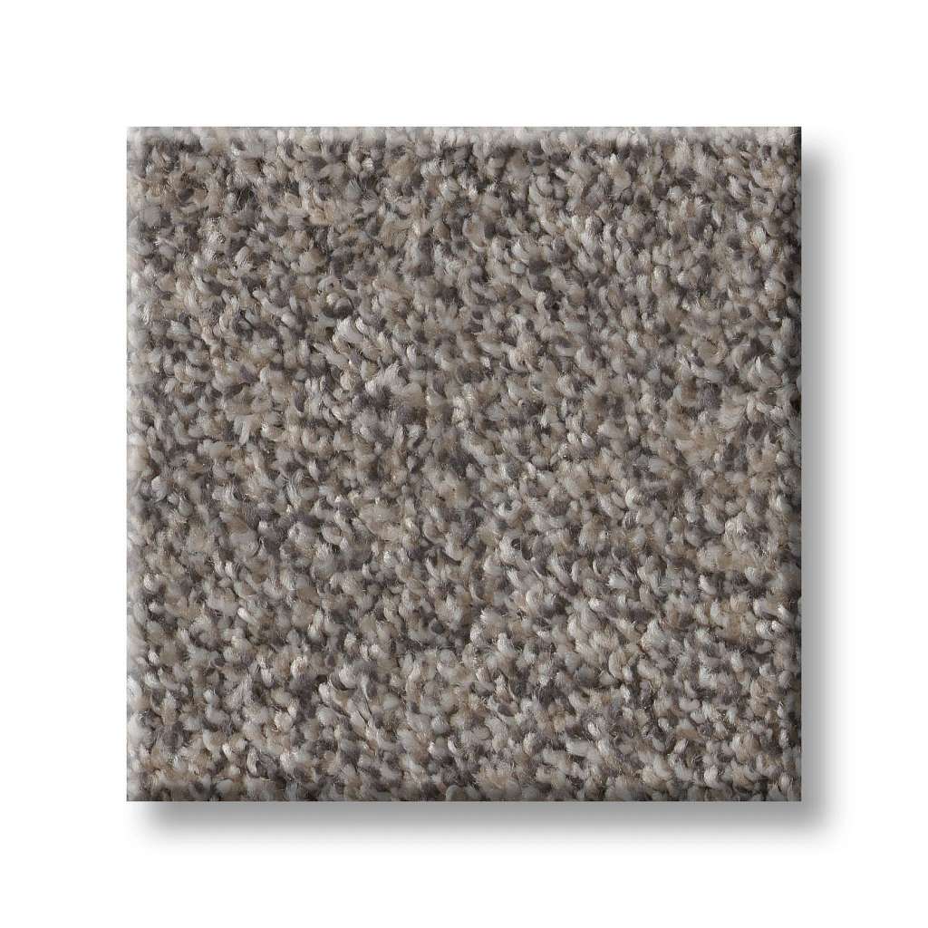 Coached Up Carpet - Barn Owl  Swatch Image 