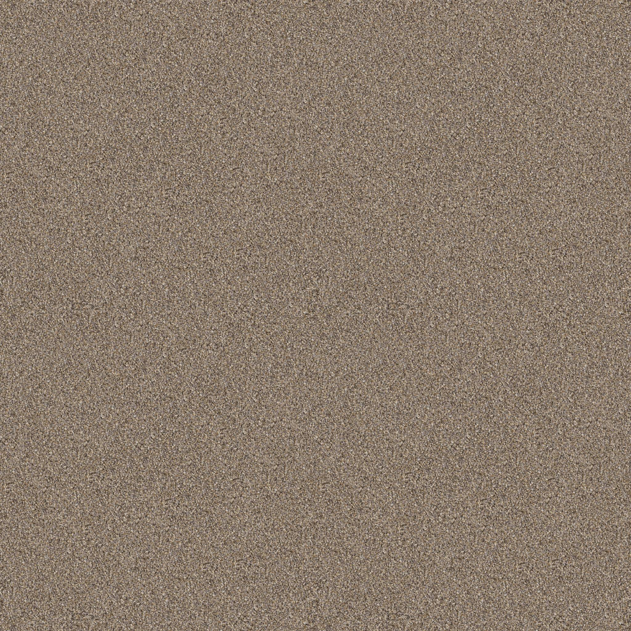 Coached Up Carpet - Classic Tan Zoomed Swatch Image