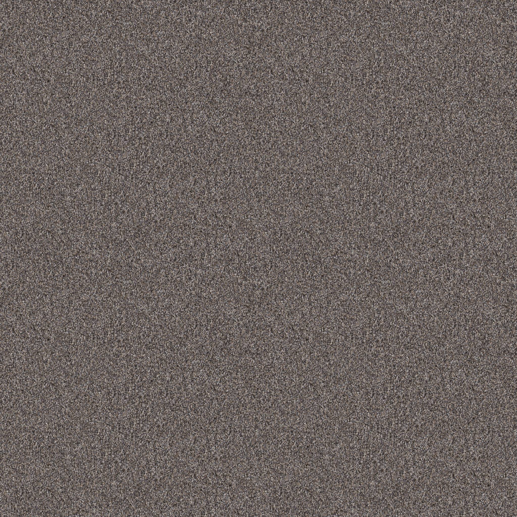 Coached Up Carpet - Vintage Cashmere Zoomed Swatch Image