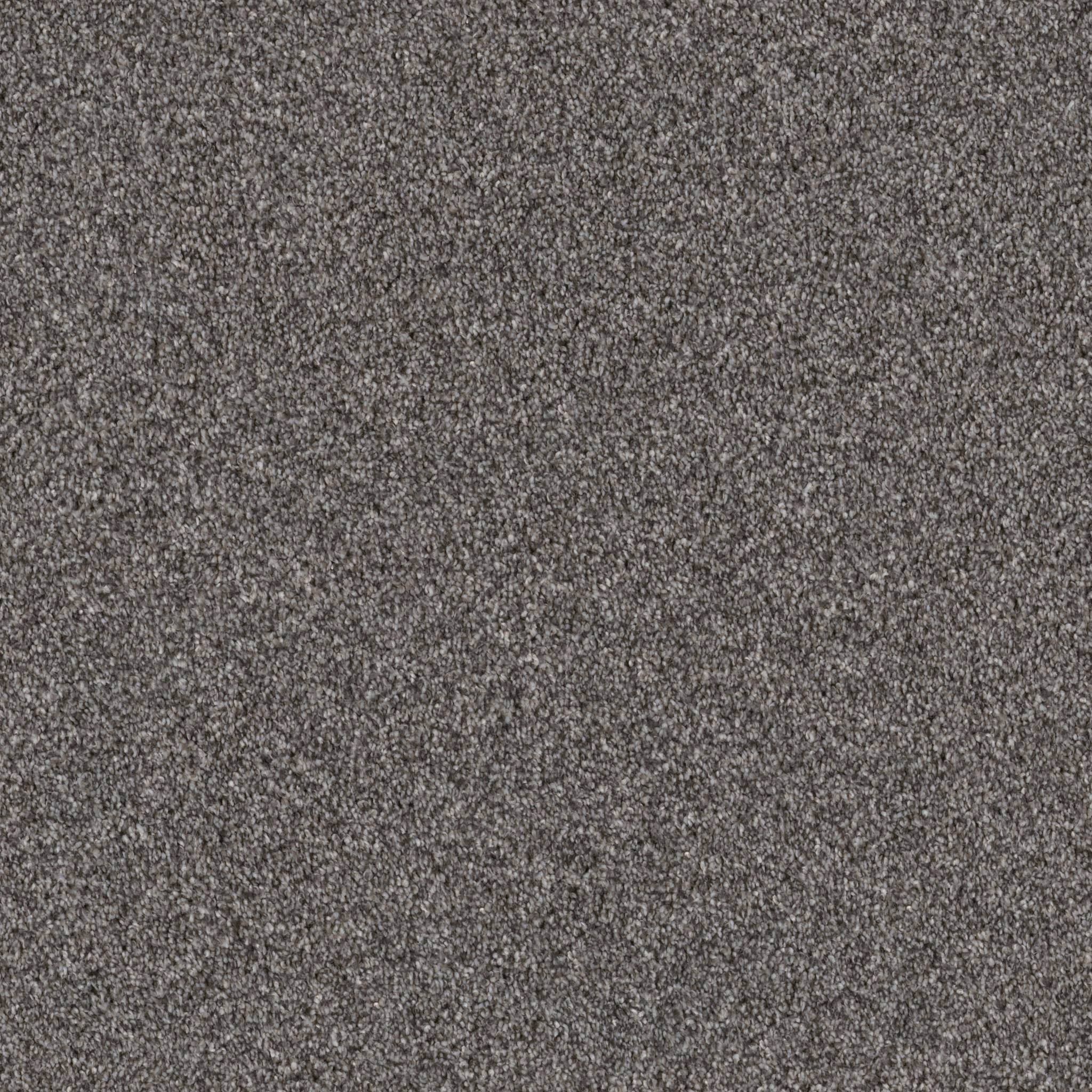 Coached Up Carpet - Autumn Fog Zoomed Swatch Image