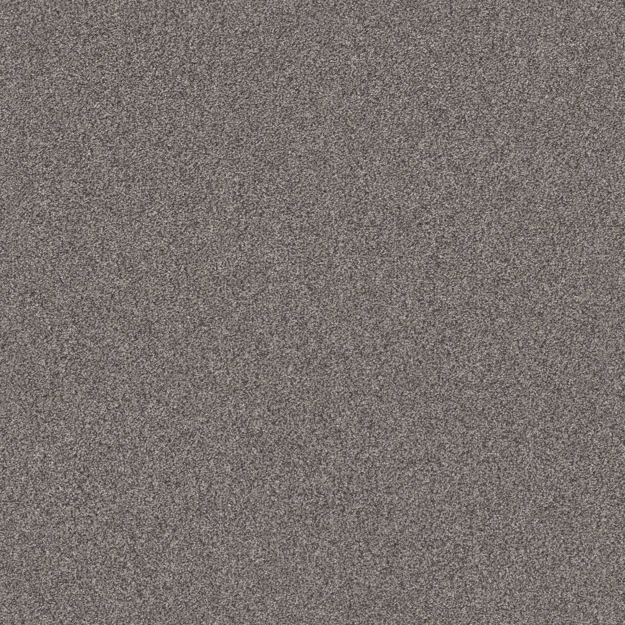Coached Up Carpet - Misty Woods Zoomed Swatch Image