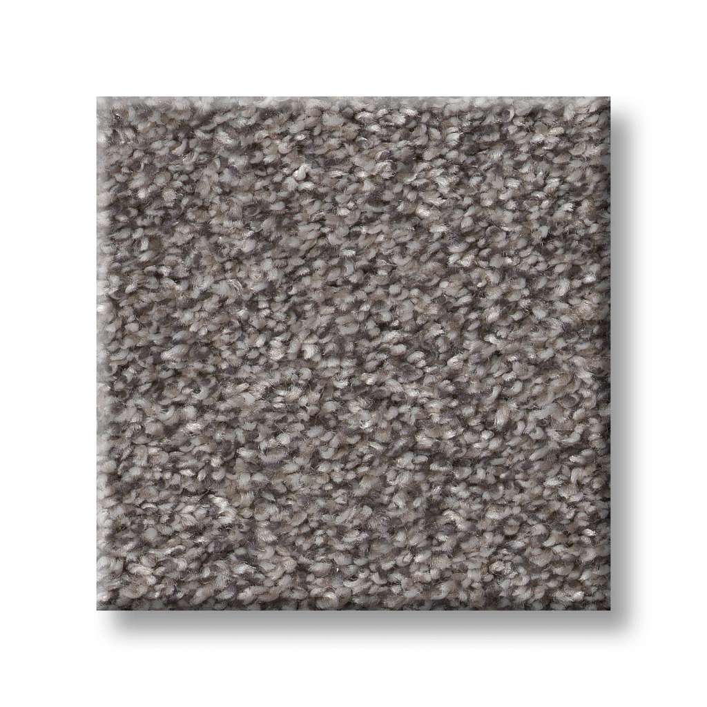 Coached Up Carpet - Misty Woods  Swatch Image 