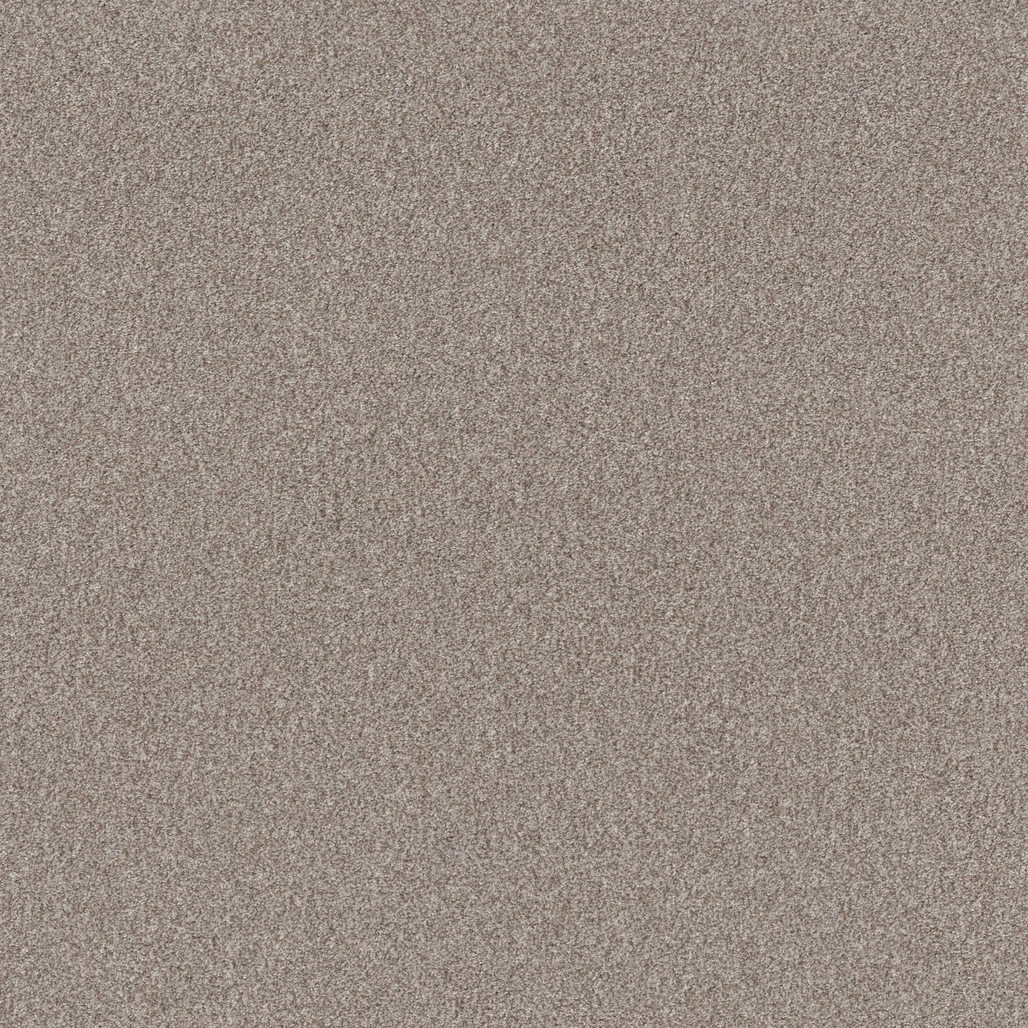 Coached Up Carpet - Paris Run Zoomed Swatch Image