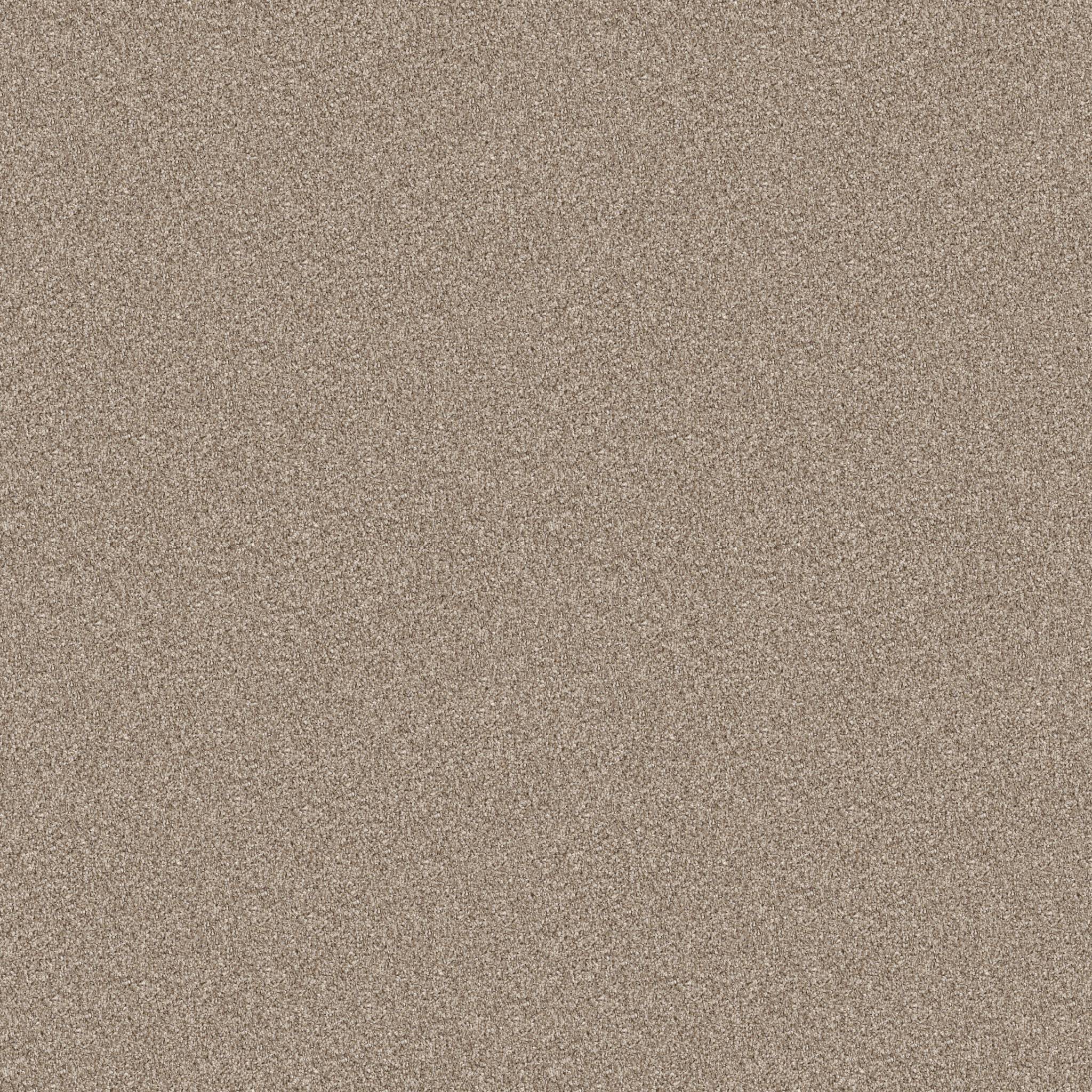 Coached Up Carpet - Sweet Honey Zoomed Swatch Image