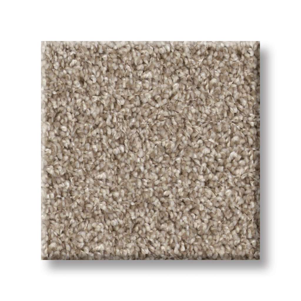 Coached Up Carpet - Sweet Honey  Swatch Image 